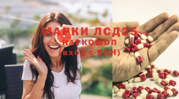 прущие грибы Киреевск